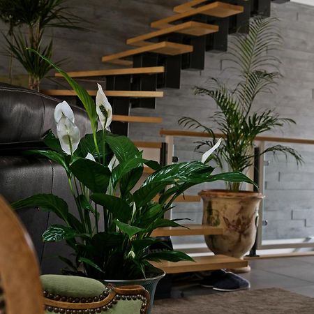 Superbe Appartement Au Coeur Du Jura シャンパニョル エクステリア 写真